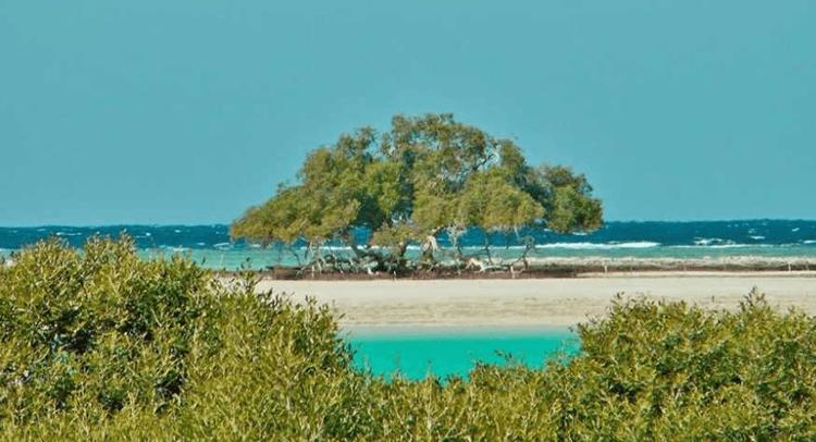 Abu Dabab Bay